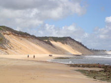 Brazil-Rio Grande do Norte-Brazilian Beaches on Mangalarga Marchador